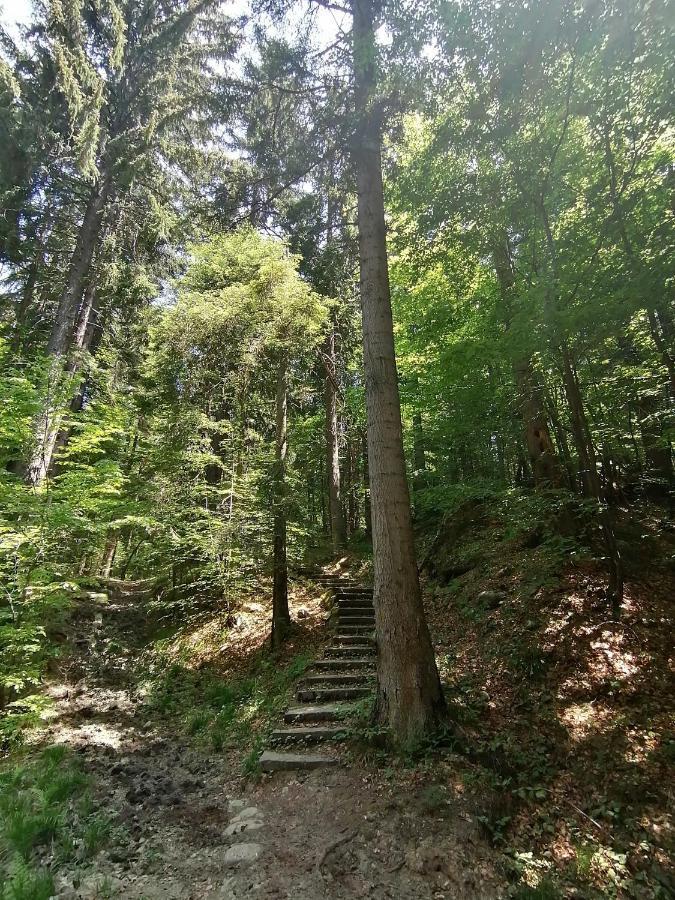 Petkovi Аpartments, Borovets Gardens - One-Bedroom And Two-Bedroom Apartments Exterior photo